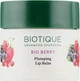 Бальзам для губ "Біо Ягоди", що ущільнює і надає повноту - Biotique Bio Berry Plumping Lip Balm 12g (147697-118763) - зображення 2
