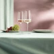 Комплект келихів для ігристого вина Schott Zwiesel Light and Fresh Sparkling 388 мл 2 шт - зображення 5