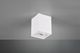 Потолочный светильник Trio BISCUIT 35W lm (613000131) - изображение 2