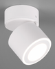 Потолочный светильник Trio TAURUS 5W 450lm 3000K (652910131) - изображение 1