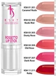 Помада для губ KSKY Shiny Silver Rossetto Lipstick KS 202 матовый нюд 5 г (8033813185697) - изображение 3