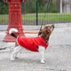Жилет для собак Pet Fashion «Fleecy» ХS-2 — червоний - изображение 2
