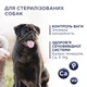 Cухий корм для собак Club 4 Paws Premium Adult Light Small Breeds 5 кг - індичка - изображение 2