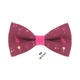 Бабочка Bow Tie House праздничная розовая с шампанским 08564 - изображение 1