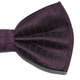 Метелик Bow Tie House сливовий в смужку 03097 - зображення 3