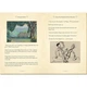 Studio Press One Hundred and One Dalmatians. Lily Murray, Dodie Smith. ISBN:9781787416321 - изображение 4