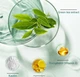 Комплект маска для лица зеленый чай 3 штуки Guanjing Green Tea Clay Mask Stick глубокое очищение, сужение пор, увлажнение - изображение 9