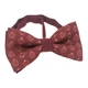 Бабочка Bow Tie House вишневая с новогодние игрушки 08628 - изображение 2