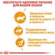 Royal Canin Intense Beauty in jelly, 0,085 кг — Вологий корм для котів - зображення 5