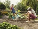 Пістолет-накінечник для поливу Gardena Comfort ecoPulse (18304-20.000.00) - зображення 15