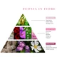 Аромадифузор Logevy Firenze MAGNUM 3000 ML Peonia in Fiore (LOG010) - изображение 2