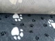 Коврик Jackson Textiles Big Paws grey 160х200 см (JT-022-2) - изображение 5