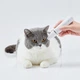 Машинка для стрижки тварин (тример) PETKIT Pet Trimmer 2 в 1 - зображення 4