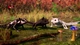 Ключ активации Away : The Survival Series для Xbox One/Series S/X - изображение 14