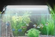 LED-Светильник для аквариума L-200 5W (20-30 см) White - изображение 1