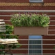 Умный вазон Lechuza Balconera Color 80 Белый (15680) - изображение 8