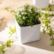 Умный вазон Lechuza Cube Glossy 16 Белый блестящий (13520) - изображение 7