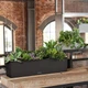 Умный вазон Lechuza Balconera Stone 50 Графитово-черный (15652) - изображение 10