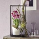 Умный вазон Lechuza Orchidea 20 Белый (13960) - изображение 10