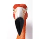 Украшение настенное KARE DESIGN Flamingo Road 72cm - изображение 5