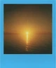 Фотоплівка Polaroid Color film for iType Summer Edition Double Pack (006278) - зображення 12