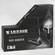Трюковый самокат Best Scooter Warrior Т-30401 с рулевой системой HIC, колеса 120 мм + 2 пеги, Черно-серебристый - изображение 2