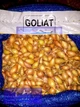 Лук севок озимый Голиат (Goliat) , Голландия, 1 кг - изображение 2