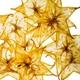Карамболовые чипсы Parovoz Chips 25г НФ-00000048 - изображение 7