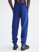 Спортивные штаны утепленные мужские Calvin Klein 258483005 XL Синие (1159785774) - изображение 2