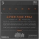 Струны для акустической гитары D'Addario XTABR1047 XT 80/20 BRONZE EXTRA LIGHT (10-47) - изображение 3