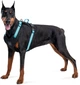 Шлея для собак безопасная Collar WAUDOG Nylon c QR паспортом, металлическая пряжка-фастекс, M, Ш 20 мм, А 45-70 см, В 60-80 см (52492) - изображение 3