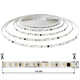 Стрічка LED світлодіодна 220V 8мм самоклейка холодна біла 120 LED/m 8W/m вологозахист IP44 Biom - зображення 2