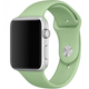 Силиконовый ремешок для Apple Watch 38/40/41 мм Shiny Olive - изображение 1