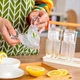 Ручная соковыжималка для лимона, апельсина Empire Home Juicer пресс для цитрусовых - изображение 9