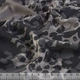 Креп серый в темно-серые цветы ш.150 (11401.008) - изображение 2