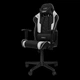Крісло DXRacer Nex EC-O134-NW-K3-303 Black/White - зображення 3