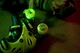 Роликовые коньки Neon Combo Skates Салатовый (Размер 30-33) (NT09G4) - зображення 10