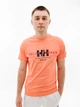 Мужская Футболка HELLY HANSEN RWB GRAPHIC T-SHIRT Оранжевый L (7d53763-284 L) - изображение 1