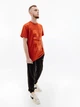 Мужская Футболка HELLY HANSEN MOVE COTTON T-SHIRT Оранжевый XL (7d53976-308 XL) - изображение 2