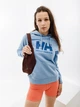 Женское Худи HELLY HANSEN W HH LOGO HOODIE Голубой L (7d33978-627 L) - изображение 1