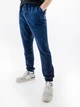 Мужские Штаны Arena ICONS PANT Синий L (7d005607-700 L) - изображение 1