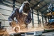 Болгарка Metabo W 13-125 Quick - зображення 2