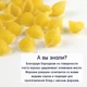 Макарони органічні Fleur Alpine Морські Ракушки 500 г (8007290001160) - зображення 6