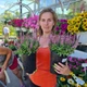 Шалфей дубравный 'Pink Paradise'®. Контейнер 2л - изображение 6