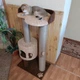 Кошачья когтеточка Вэнди домик с лежанкой для кошек 90х60х40см бежево коричневая - изображение 1