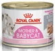 Royal Canin Babycat Instinctive Cans 0,195кг — Мусс для котят до 4 месяцев - изображение 1
