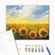 Картина по номерам Поле подсолнечников 40x50 BS135 - изображение 2