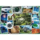 Пазлы Trefl Smile World Веселые фотографии 1000 эл (10726) - изображение 2