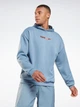Худі чоловіче Reebok Myt Oth Hoodie GT5778 XS Blusla (4064055334585) - зображення 1
