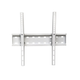 Крепление для телевизора CHARMOUNT TV04T White 32"-55" нагрузка до 50кг - изображение 1